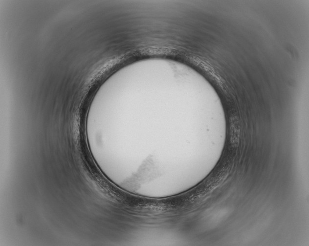 X0000112920631200909211053