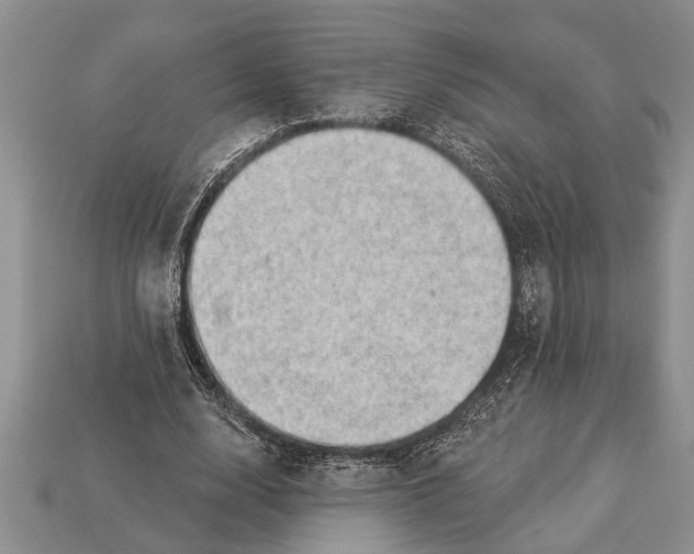 X0000112920632200909211053