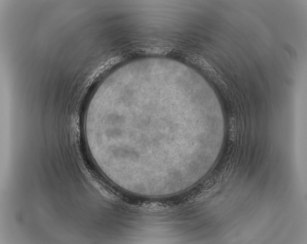 X0000112920634200909211053