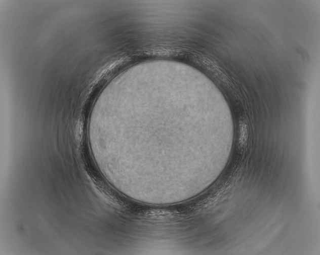 X0000112920636200909211053