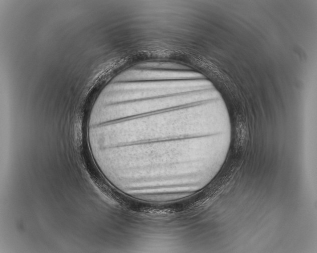 X0000112920638200909211053
