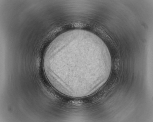 X0000112920639200909211053