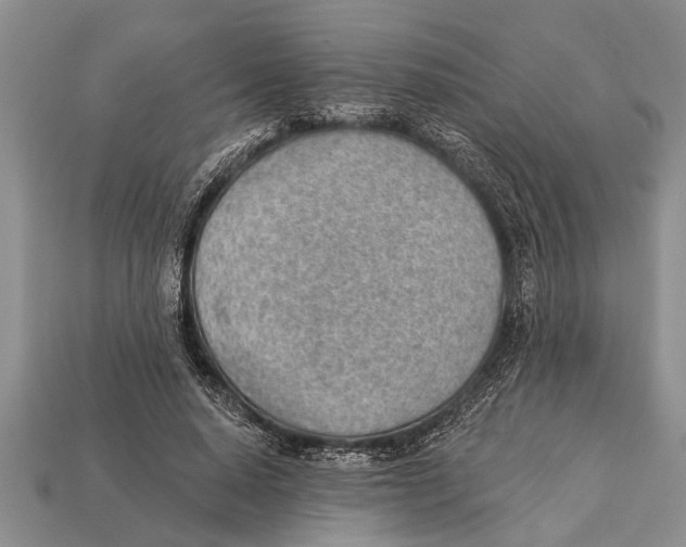 X0000112920640200909211053