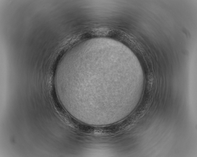 X0000112920641200909211053