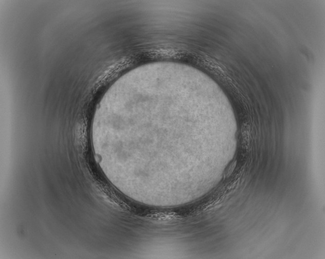 X0000112920642200909211053
