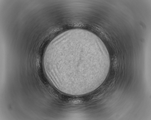 X0000112920643200909211053