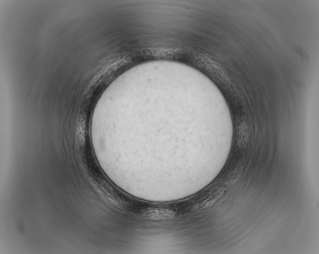 X0000112920644200909211053