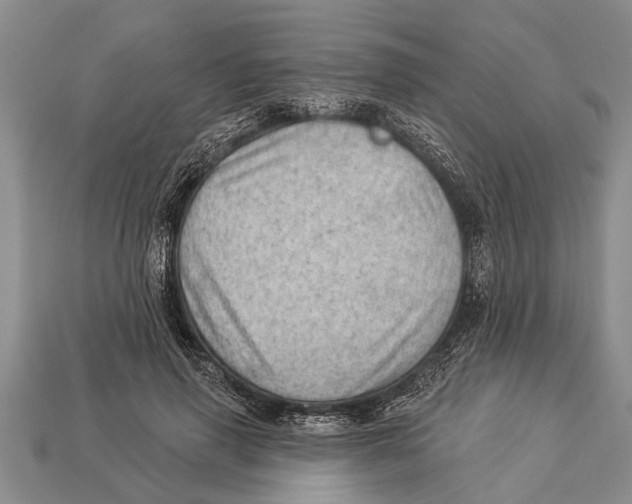 X0000112920645200909211053