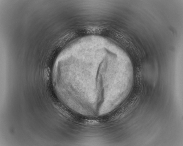 X0000112920649200909211053