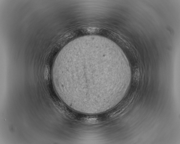 X0000112920651200909211053