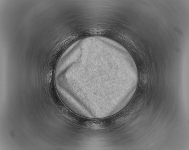 X0000112920652200909211053