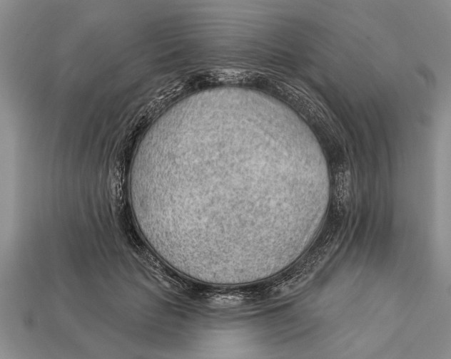 X0000112920653200909211053