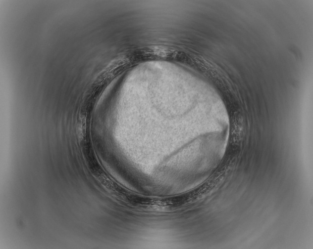 X0000112920656200909211053