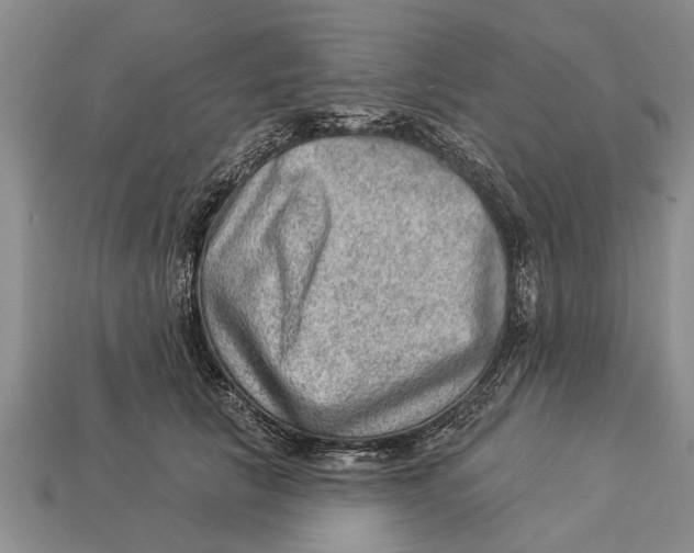 X0000112920657200909211053