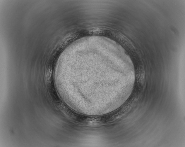 X0000112920660200909211054