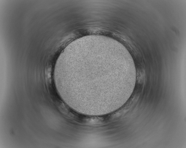 X0000112920670200909211054