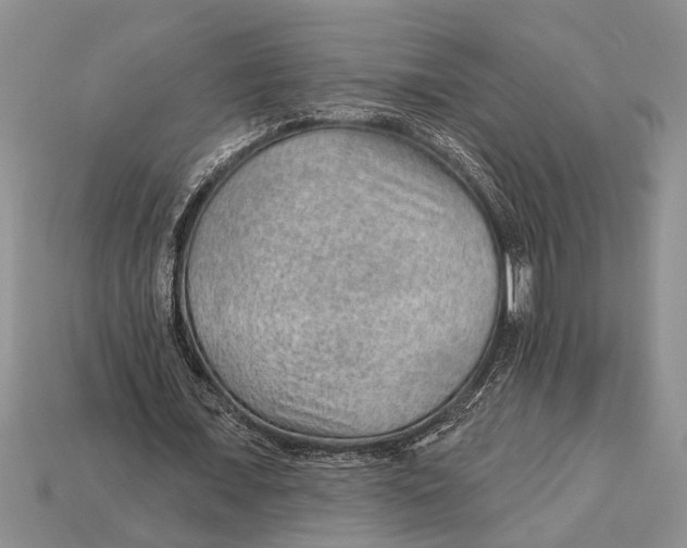 X0000112920675200909211053