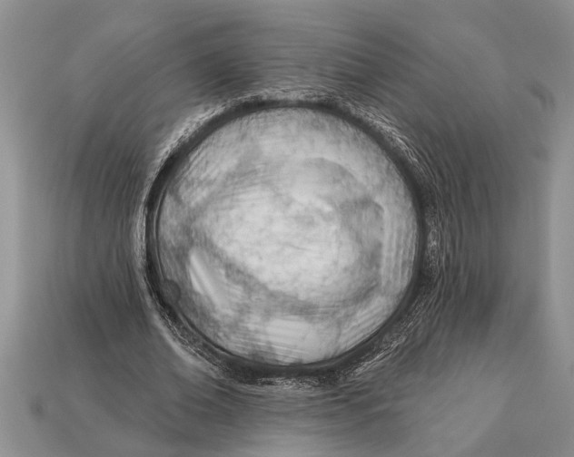 X0000112920678200909211053