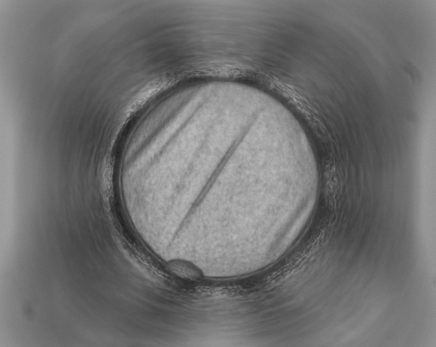 X0000112920679200909211053