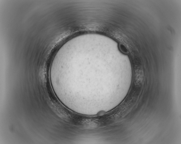 X0000112920680200909211053