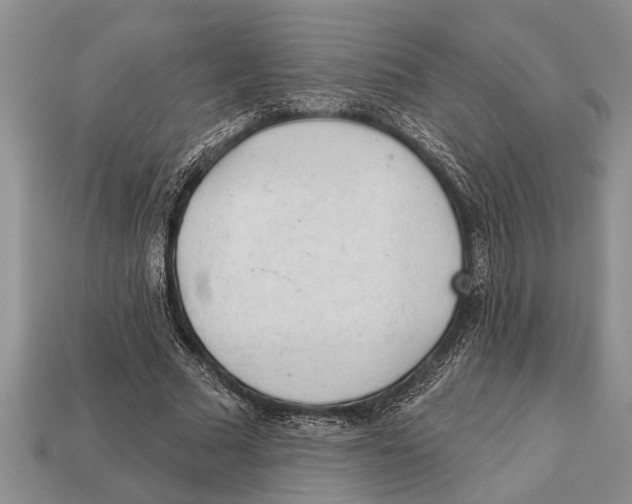 X0000112920681200909211053