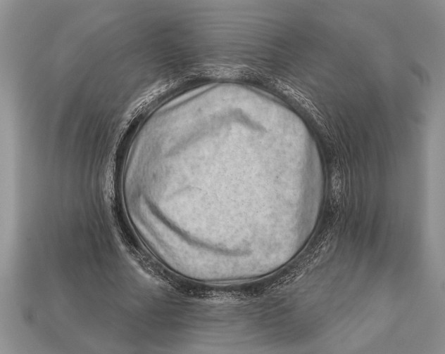 X0000112920682200909211053