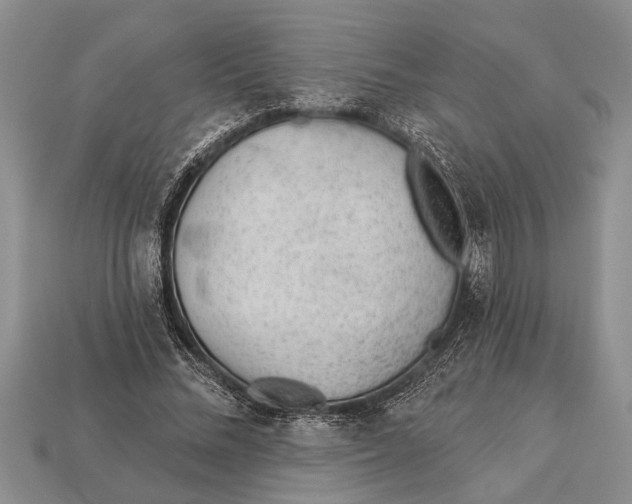 X0000112920684200909211053