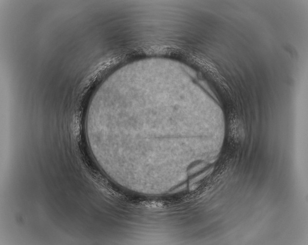 X0000112920687200909211053