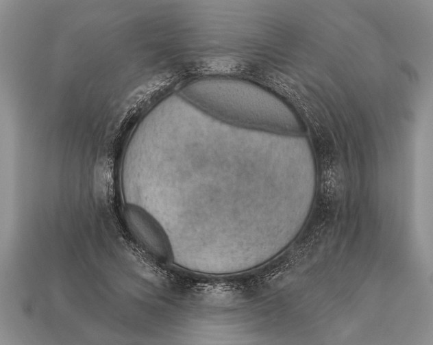 X0000112920688200909211053