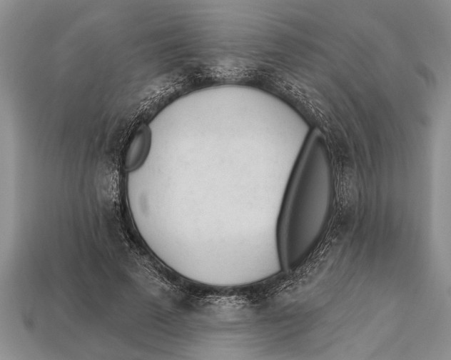 X0000112920689200909211053