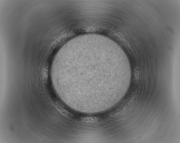 X0000112920691200909211053
