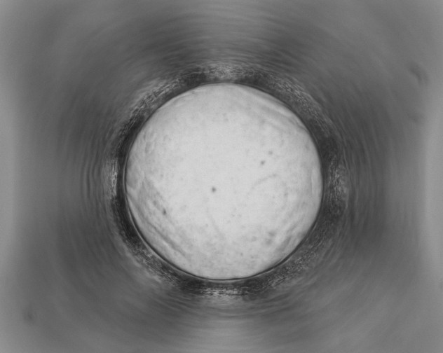 X0000112920694200909211053