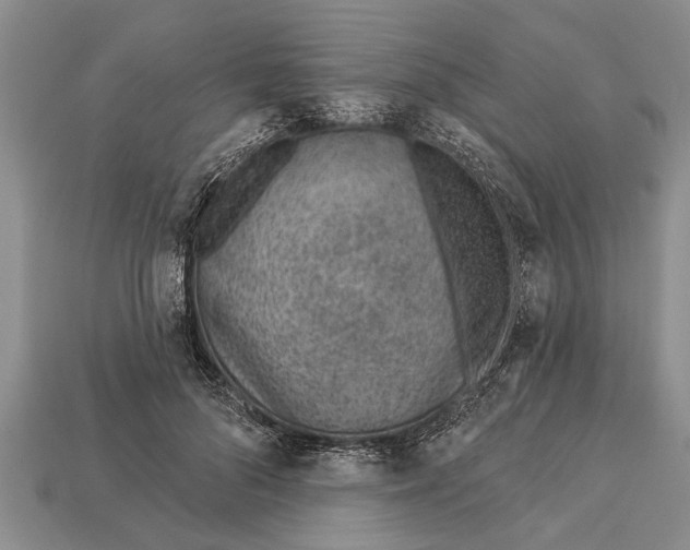 X0000112920696200909211053