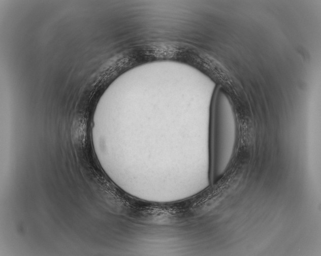 X0000112920697200909211053