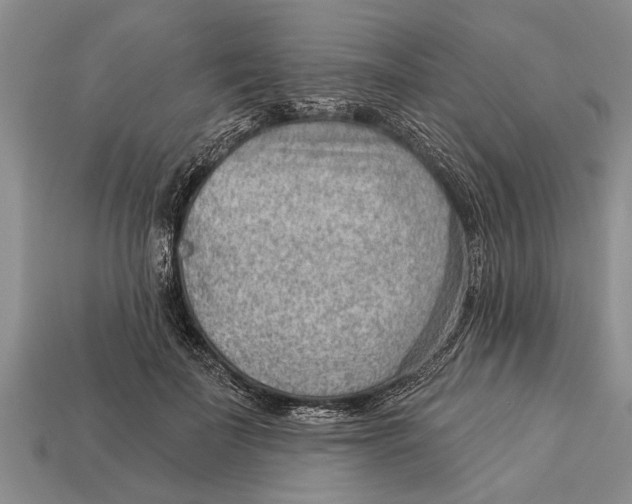 X0000112920699200909211053