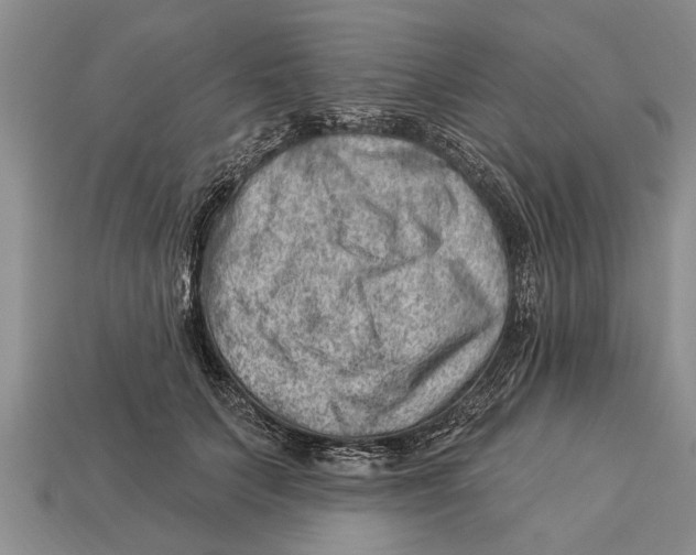 X0000112920703200909211053