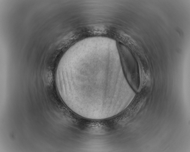 X0000112920704200909211053