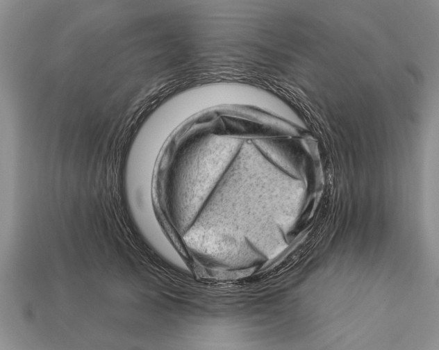 X0000112920705200909211053