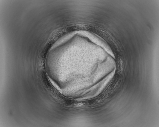 X0000112920706200909211053