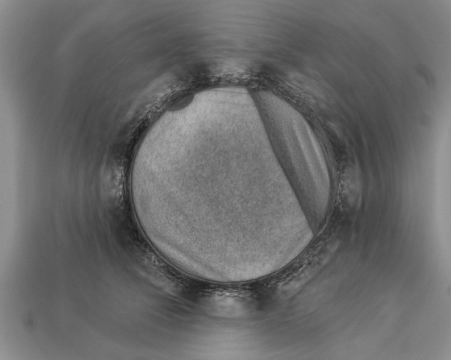 X0000112920708200909211053