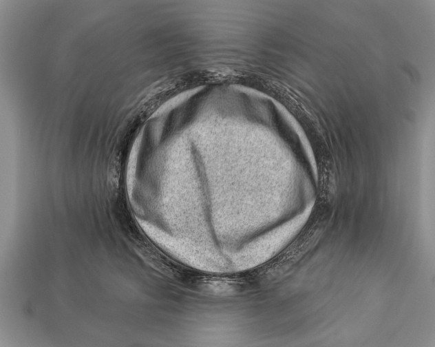 X0000112920710200909211053