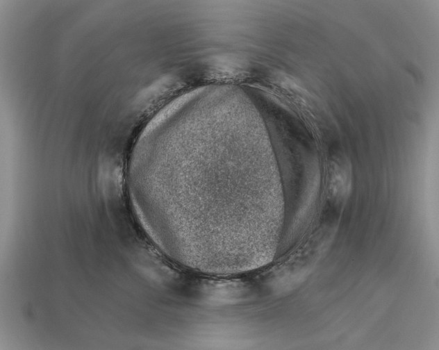 X0000112920716200909211052