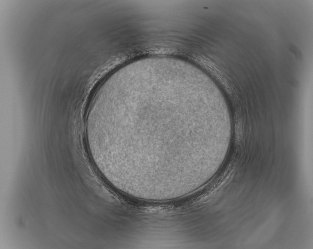 X0000112920721200909211052