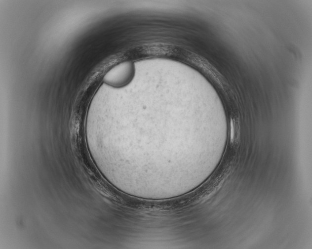 X0000112920723200909211052