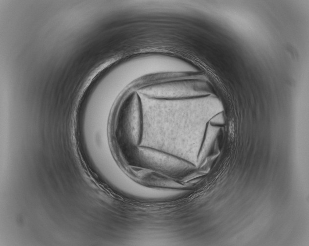 X0000112920724200909211052