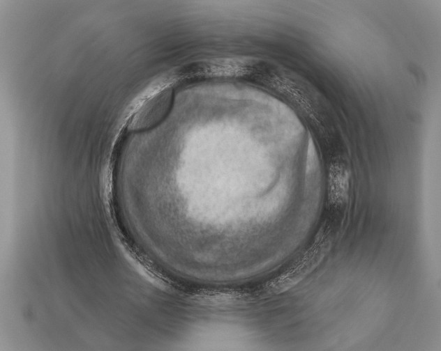 X0000112920726200909211052