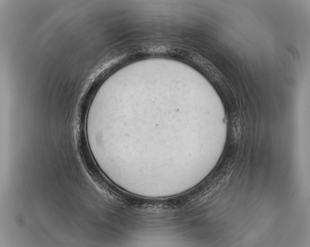 X0000112920728200909211052
