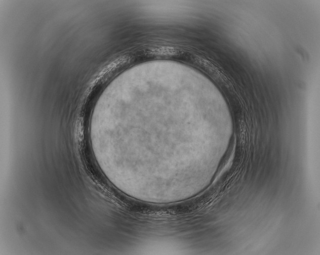 X0000112920731200909211052