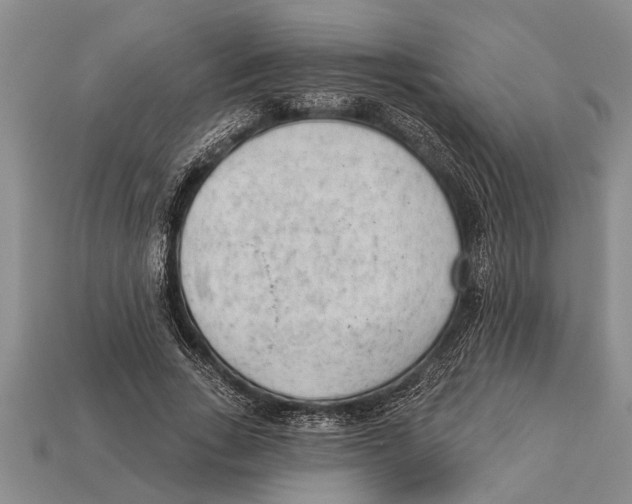 X0000112920735200909211052