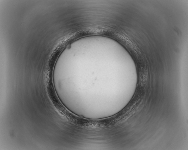 X0000112920736200909211052